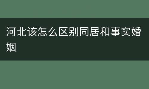 河北该怎么区别同居和事实婚姻