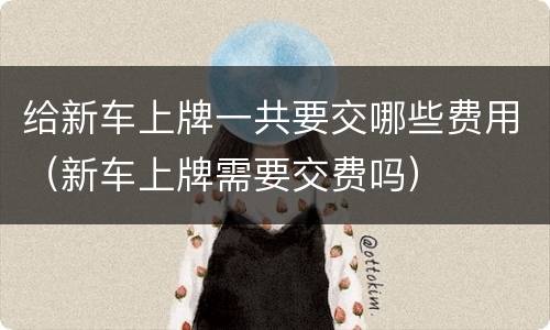 给新车上牌一共要交哪些费用（新车上牌需要交费吗）