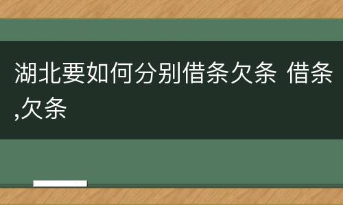 湖北要如何分别借条欠条 借条,欠条