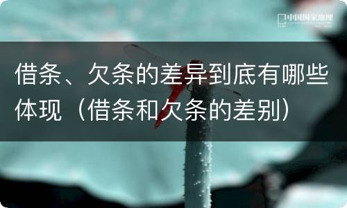 借条、欠条的差异到底有哪些体现（借条和欠条的差别）