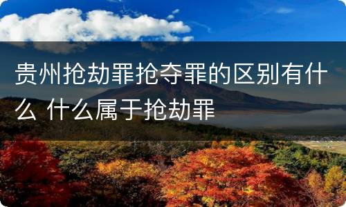 贵州抢劫罪抢夺罪的区别有什么 什么属于抢劫罪