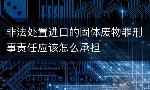 非法处置进口的固体废物罪刑事责任应该怎么承担
