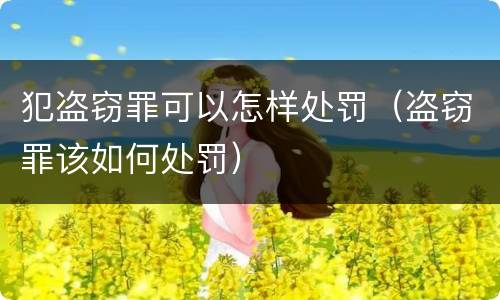 犯盗窃罪可以怎样处罚（盗窃罪该如何处罚）