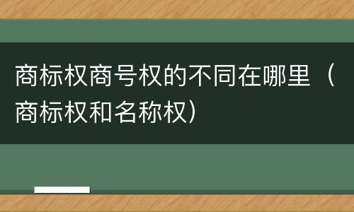 商标权商号权的不同在哪里（商标权和名称权）