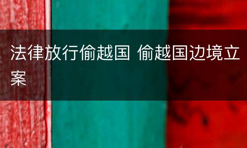 法律放行偷越国 偷越国边境立案