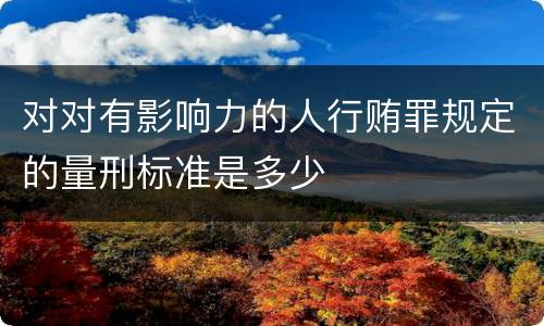 对对有影响力的人行贿罪规定的量刑标准是多少