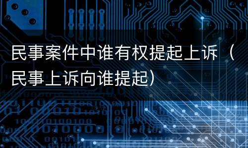 民事案件中谁有权提起上诉（民事上诉向谁提起）