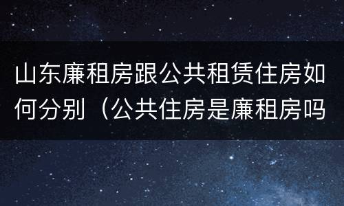 山东廉租房跟公共租赁住房如何分别（公共住房是廉租房吗）