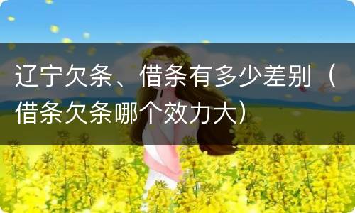 辽宁欠条、借条有多少差别（借条欠条哪个效力大）