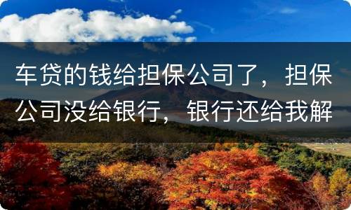 车贷的钱给担保公司了，担保公司没给银行，银行还给我解压了，但是信用卡肖不了，咱办