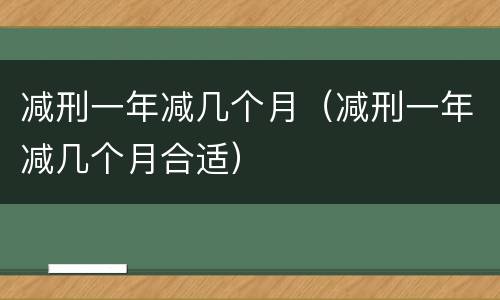 减刑一年减几个月（减刑一年减几个月合适）