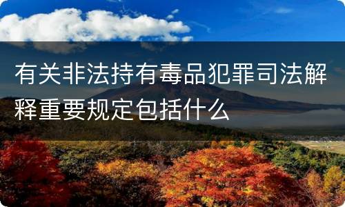 有关非法持有毒品犯罪司法解释重要规定包括什么