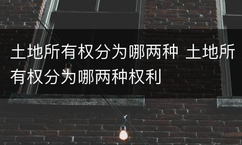 土地所有权分为哪两种 土地所有权分为哪两种权利