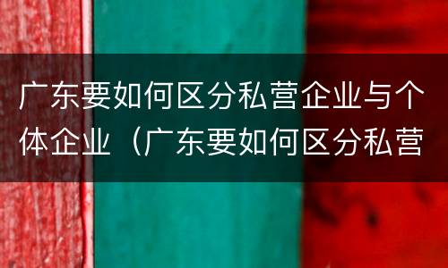 广东要如何区分私营企业与个体企业（广东要如何区分私营企业与个体企业的区别）
