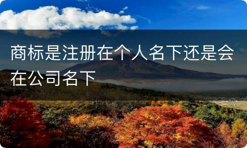 商标是注册在个人名下还是会在公司名下