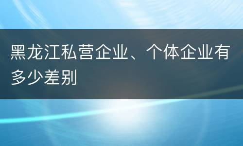 黑龙江私营企业、个体企业有多少差别