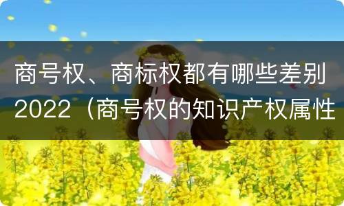 商号权、商标权都有哪些差别2022（商号权的知识产权属性）