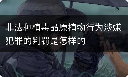 非法种植毒品原植物行为涉嫌犯罪的判罚是怎样的