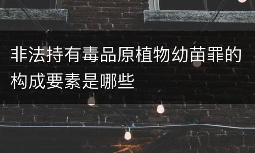 非法持有毒品原植物幼苗罪的构成要素是哪些