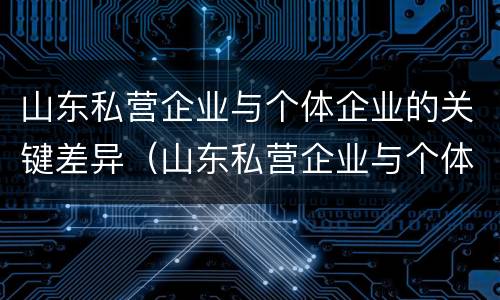 山东私营企业与个体企业的关键差异（山东私营企业与个体企业的关键差异是什么）