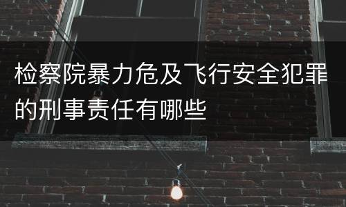 检察院暴力危及飞行安全犯罪的刑事责任有哪些