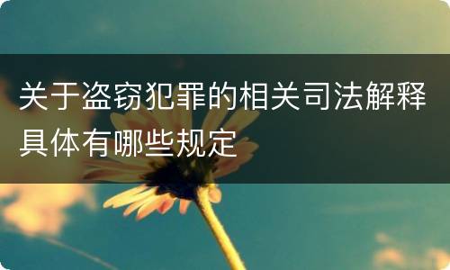 关于盗窃犯罪的相关司法解释具体有哪些规定