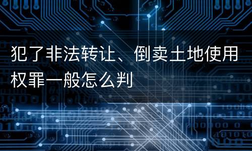 犯了非法转让、倒卖土地使用权罪一般怎么判