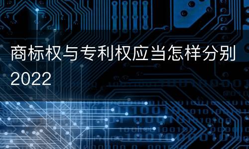 商标权与专利权应当怎样分别2022