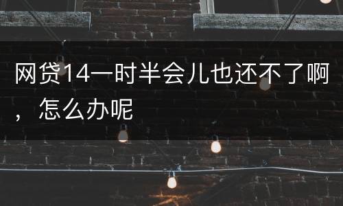 网贷14一时半会儿也还不了啊，怎么办呢