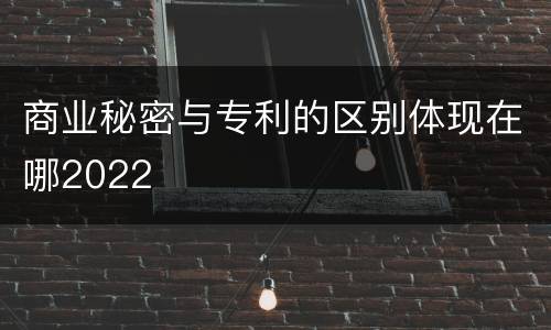 商业秘密与专利的区别体现在哪2022