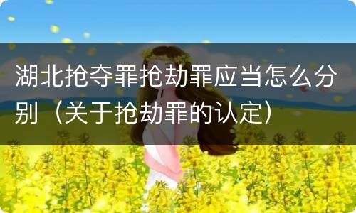 湖北抢夺罪抢劫罪应当怎么分别（关于抢劫罪的认定）