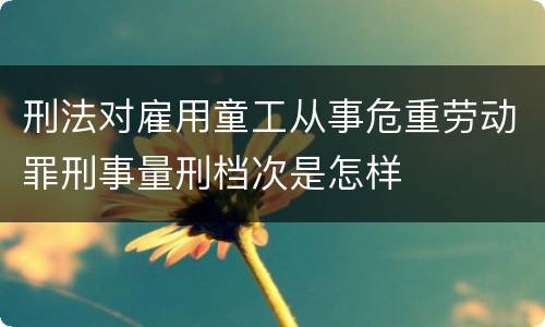 刑法对雇用童工从事危重劳动罪刑事量刑档次是怎样