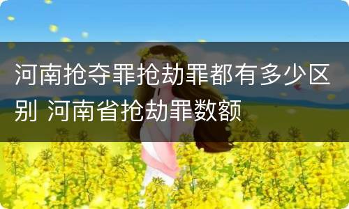 河南抢夺罪抢劫罪都有多少区别 河南省抢劫罪数额