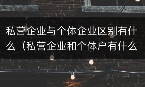 私营企业与个体企业区别有什么（私营企业和个体户有什么区别）