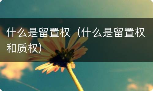 什么是留置权（什么是留置权和质权）