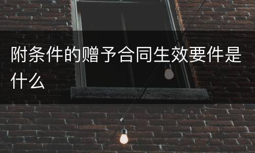 附条件的赠予合同生效要件是什么