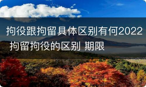 拘役跟拘留具体区别有何2022 拘留拘役的区别 期限