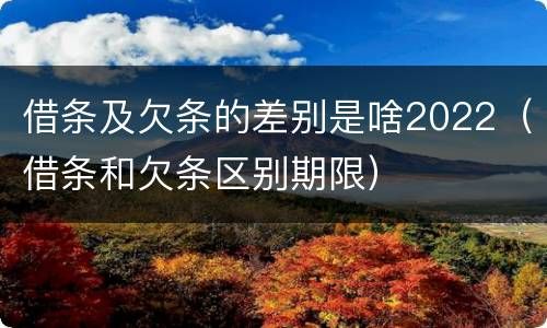 借条及欠条的差别是啥2022（借条和欠条区别期限）