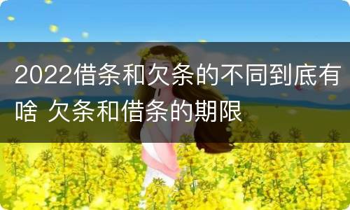 2022借条和欠条的不同到底有啥 欠条和借条的期限