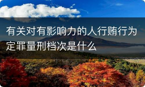 有关对有影响力的人行贿行为定罪量刑档次是什么