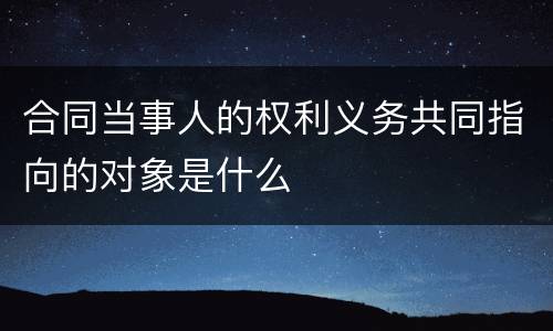 合同当事人的权利义务共同指向的对象是什么