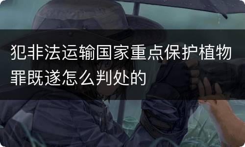犯非法运输国家重点保护植物罪既遂怎么判处的
