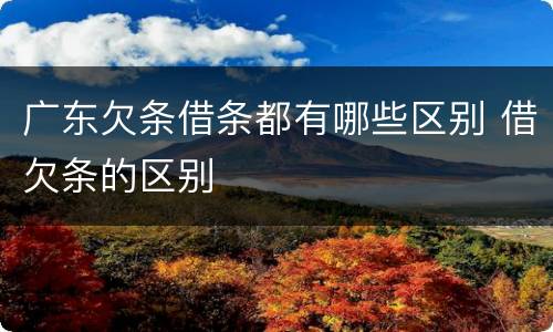 广东欠条借条都有哪些区别 借欠条的区别