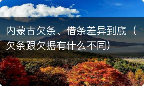 内蒙古欠条、借条差异到底（欠条跟欠据有什么不同）