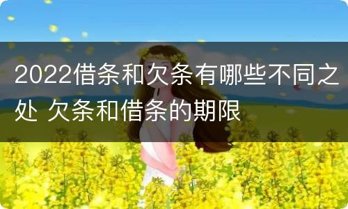 2022借条和欠条有哪些不同之处 欠条和借条的期限