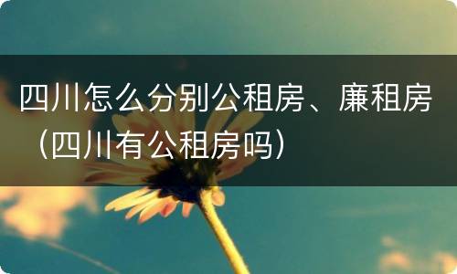 四川怎么分别公租房、廉租房（四川有公租房吗）