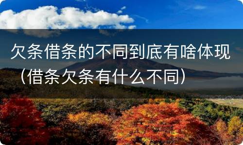 欠条借条的不同到底有啥体现（借条欠条有什么不同）