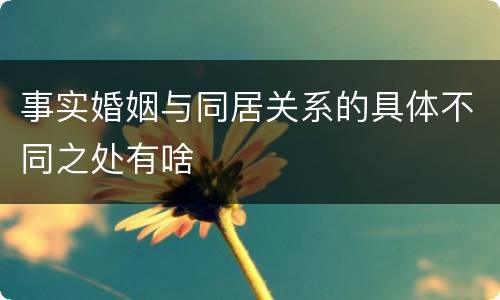 事实婚姻与同居关系的具体不同之处有啥