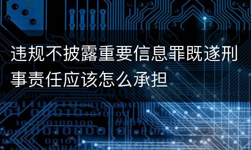 违规不披露重要信息罪既遂刑事责任应该怎么承担