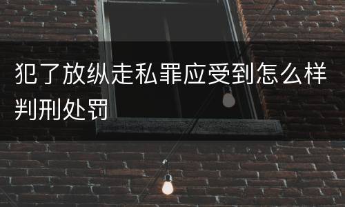 犯了放纵走私罪应受到怎么样判刑处罚